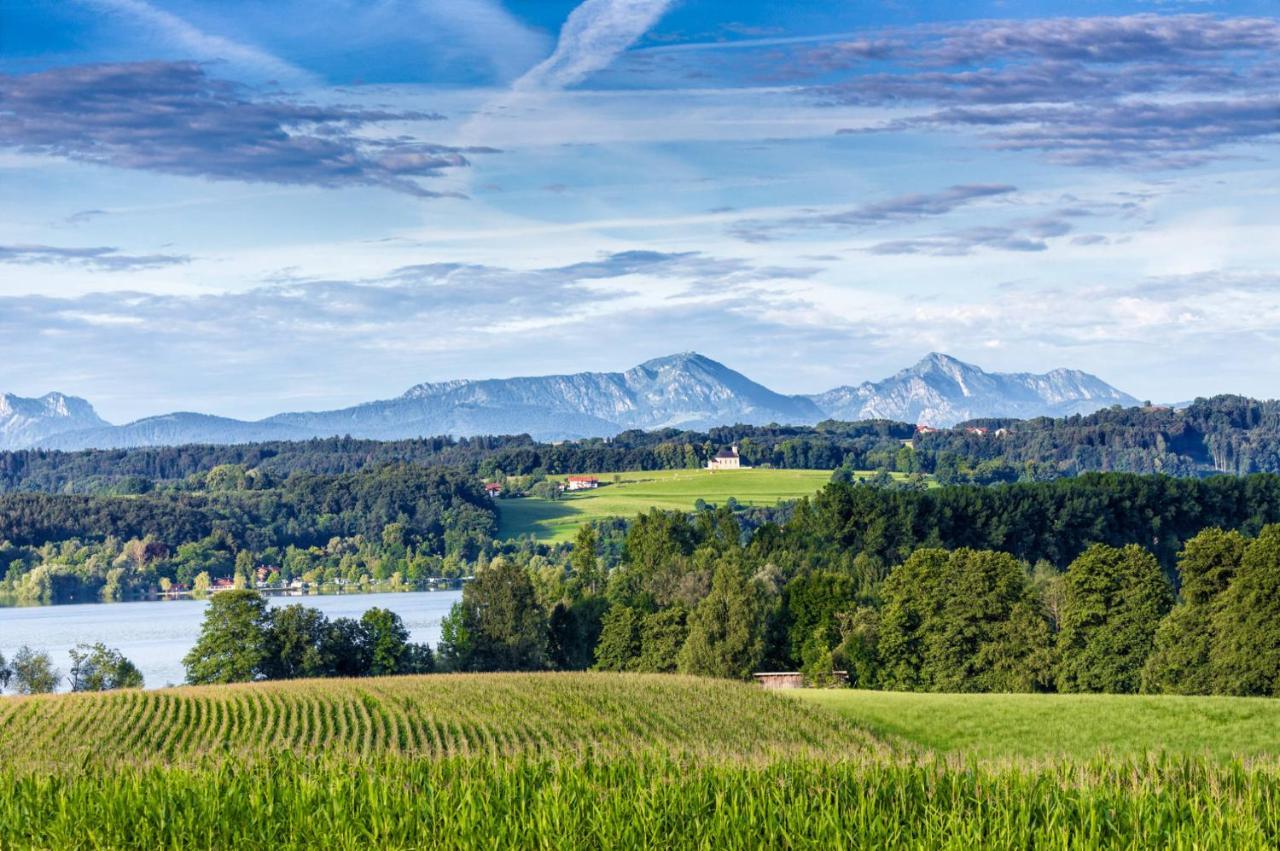 Landhaus Tanner Waging am See Esterno foto